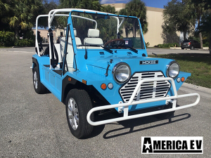 affordable golf cart rental, golf cart rent atlanta
