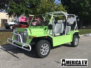 affordable golf cart rental, golf cart rent atlanta