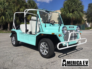 affordable golf cart rental, golf cart rent atlanta