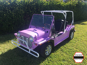 affordable golf cart rental, golf cart rent atlanta