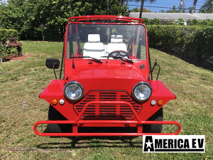affordable golf cart rental, golf cart rent atlanta