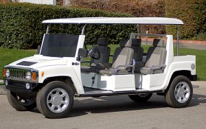 affordable golf cart rental, golf cart rent atlanta